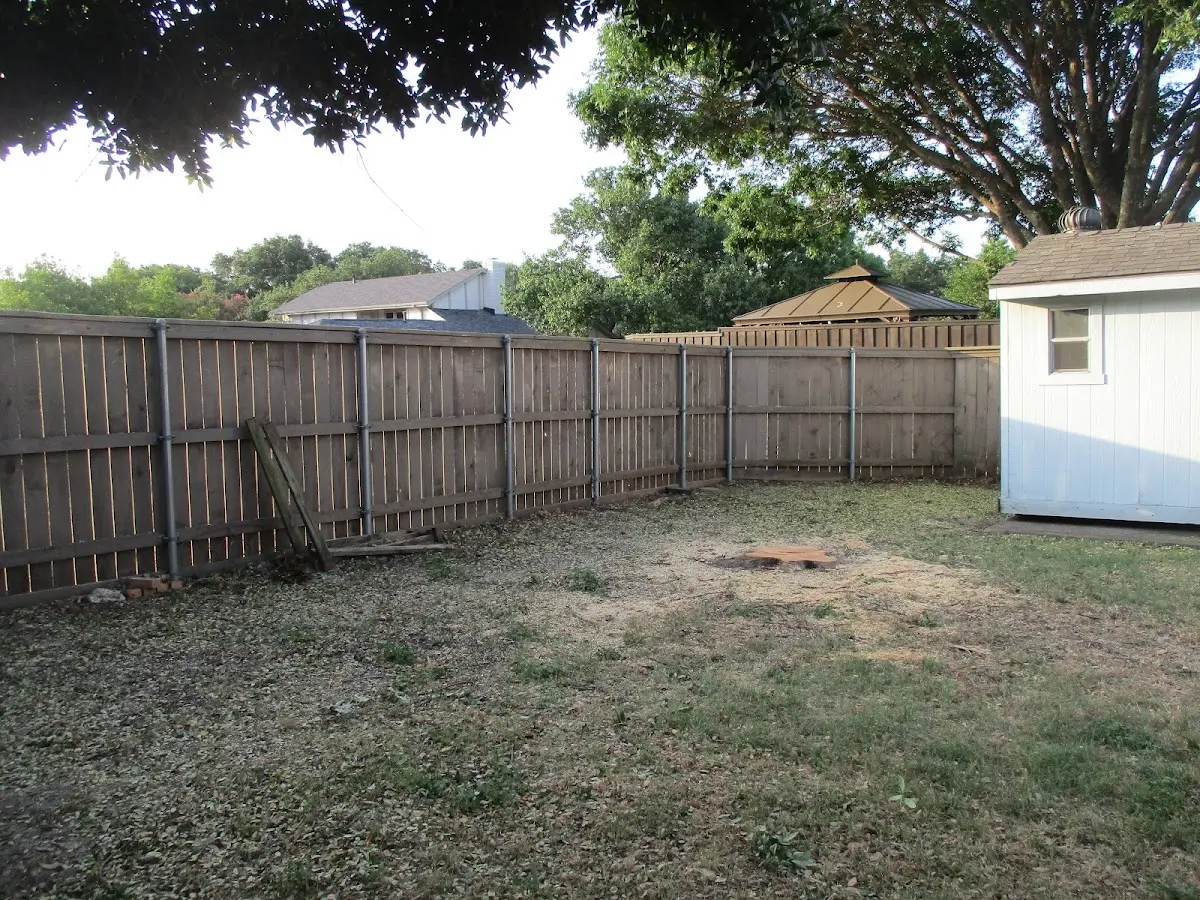 Cleared yard after professional tree removal in Bussey