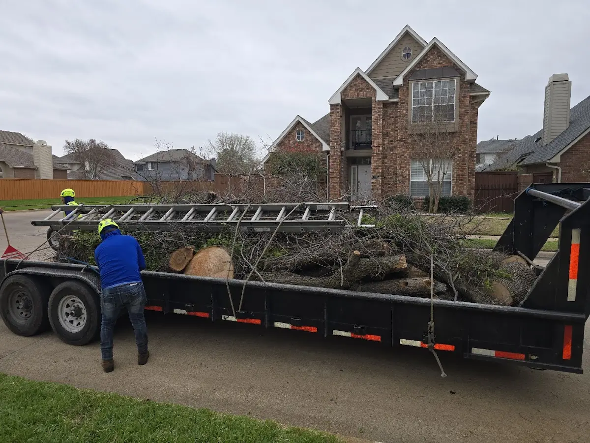 Expert Lot Clearing with proper safety equipment in Bussey